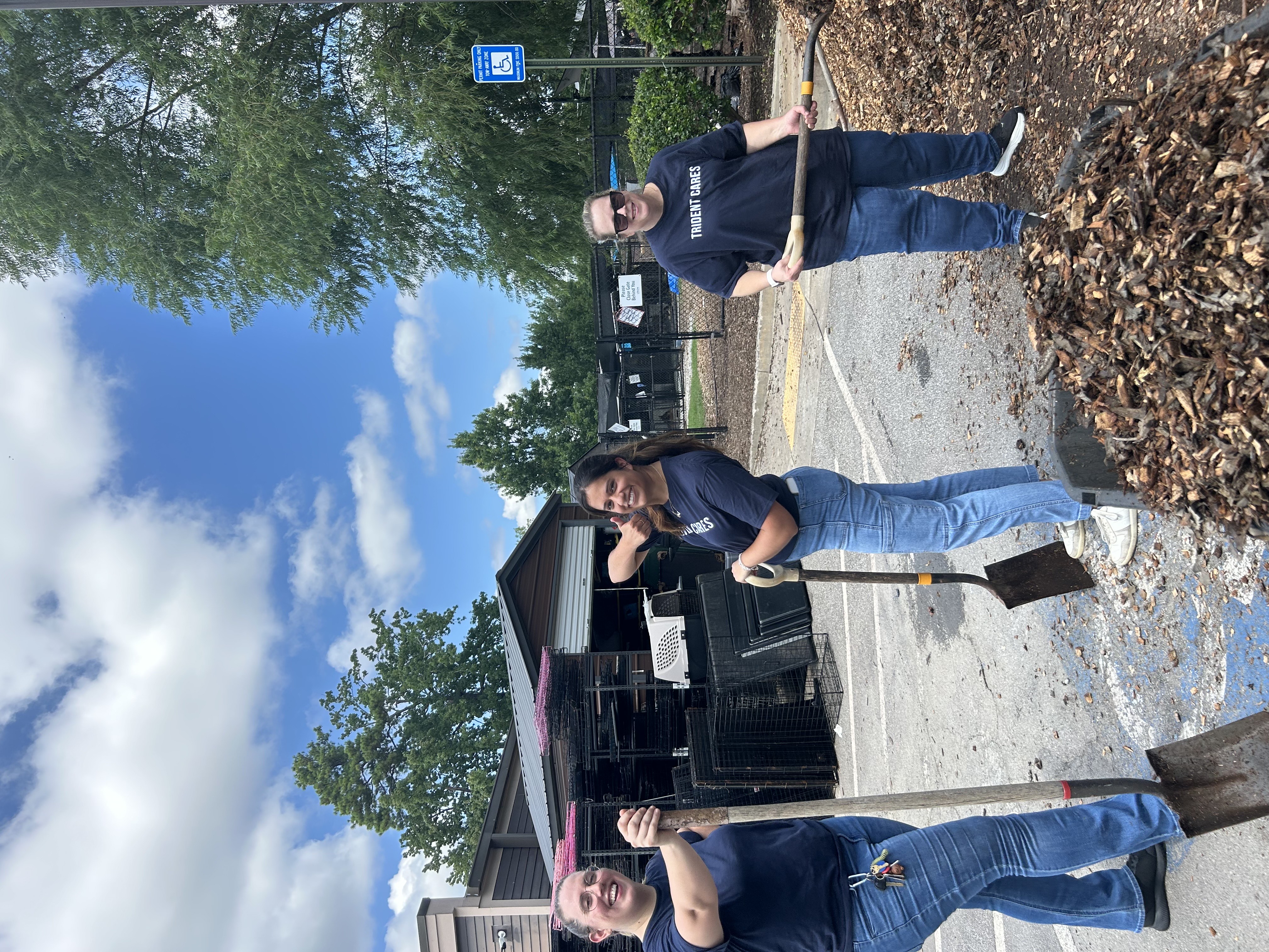 TFSI Lifeline Animail Shelter 2025